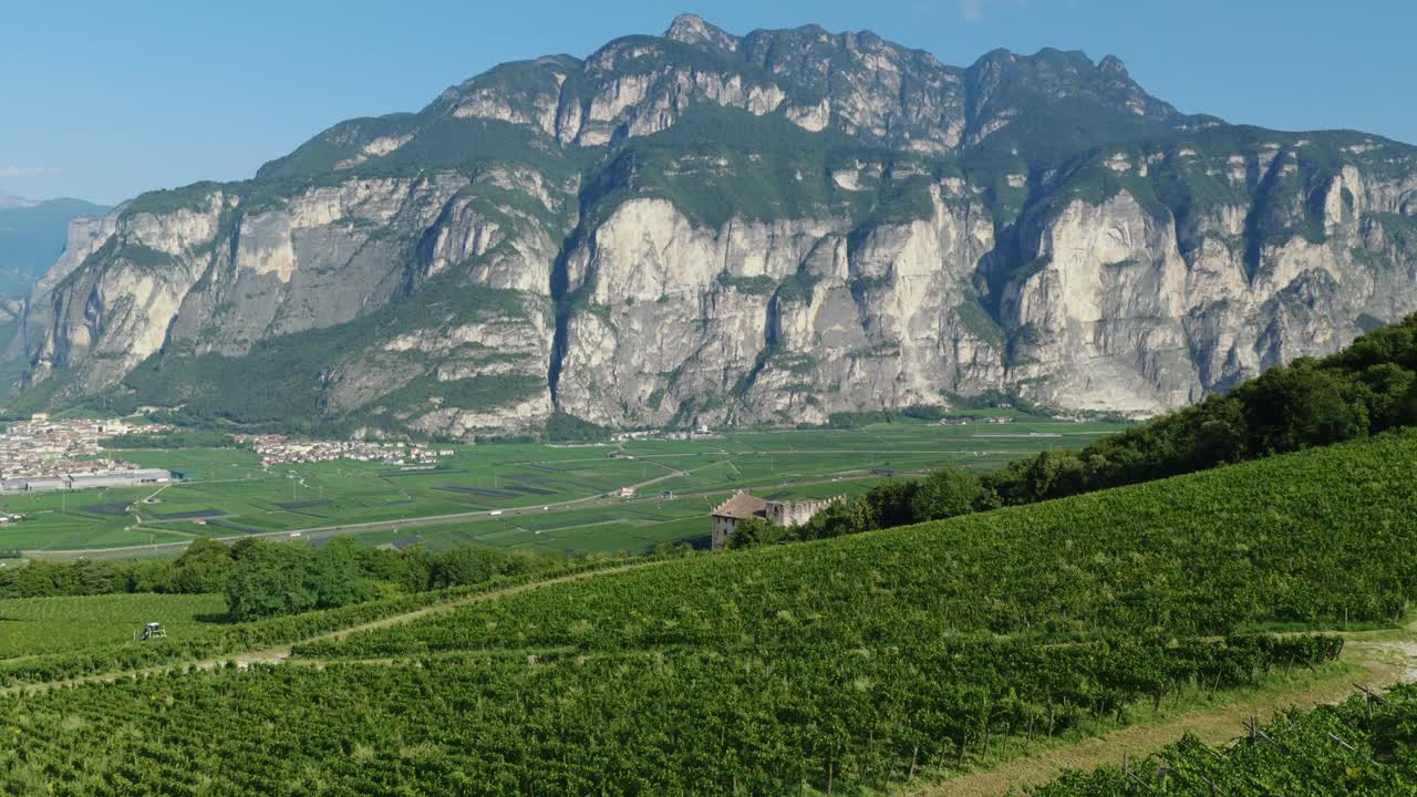 Vineyards For Trento DOC Wine Near Trento In The Valleys Within View Of The Dolomites In Trentino, Italy. Aerial Drone Shot