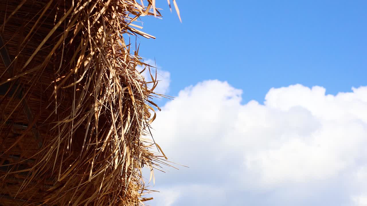 지붕의 텍스처를 근접적으로 볼 수 있습니다.