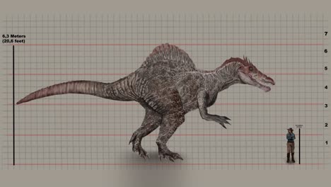 Man&#039;s Height Compared To Spinosaurus On Graph Grid