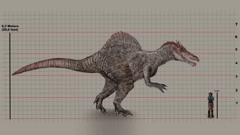 la altura del hombre en comparación con el espinosaurio en la cuadrícula gráfica