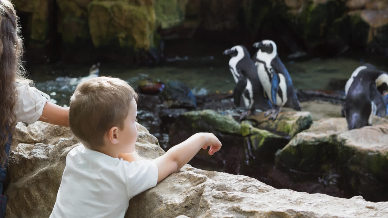 hermano y hermana caucásicos mirando pingüinos en el recinto del zoológico