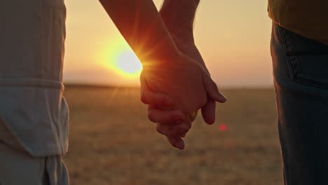 couple holding hands at sunset