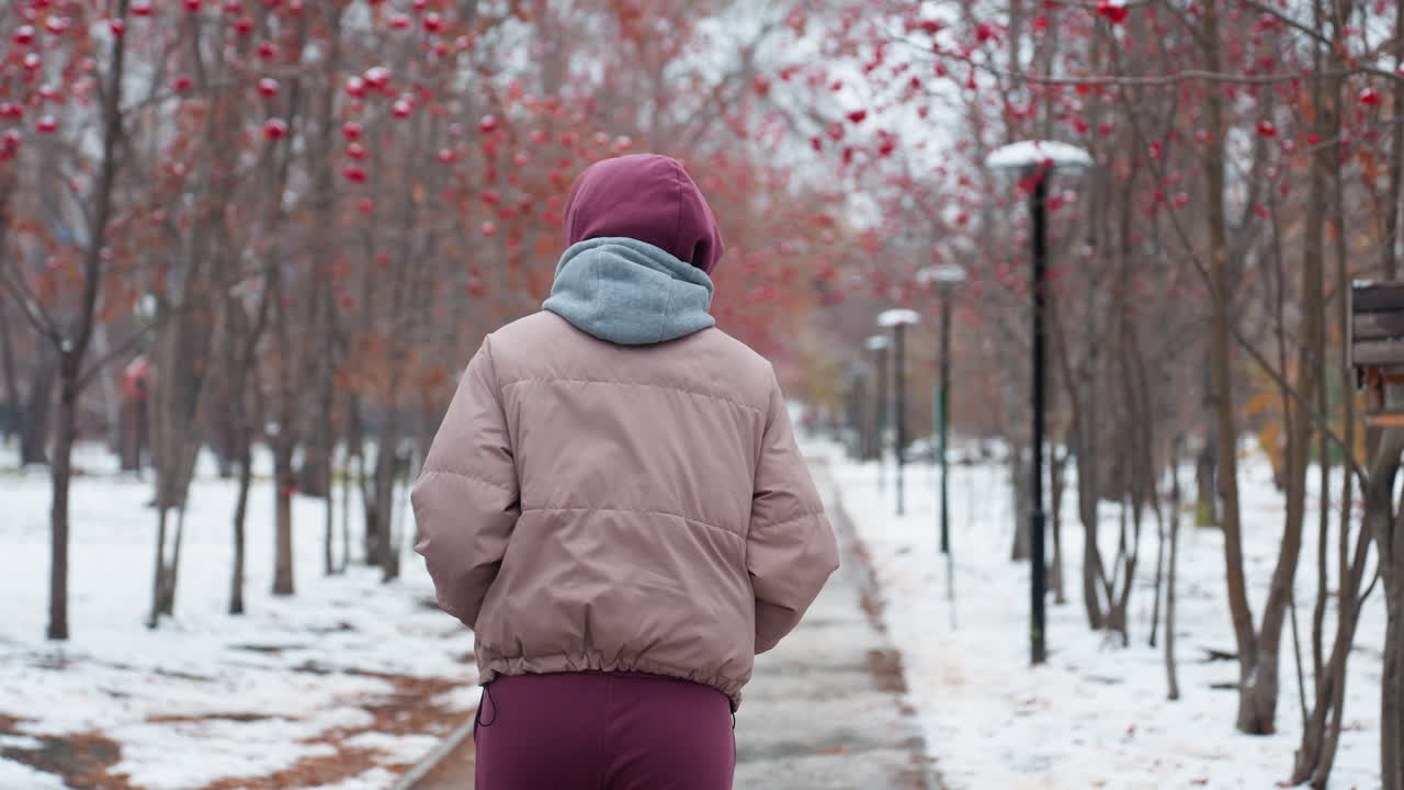 젊은 여성이 은 베리 나무로 둘러싸인 평화로운 공원을 지나가면서 겨울 의상, 후드 재 및 스카프를 입고 눈으로 인 길을 따라 조하는 뒷면