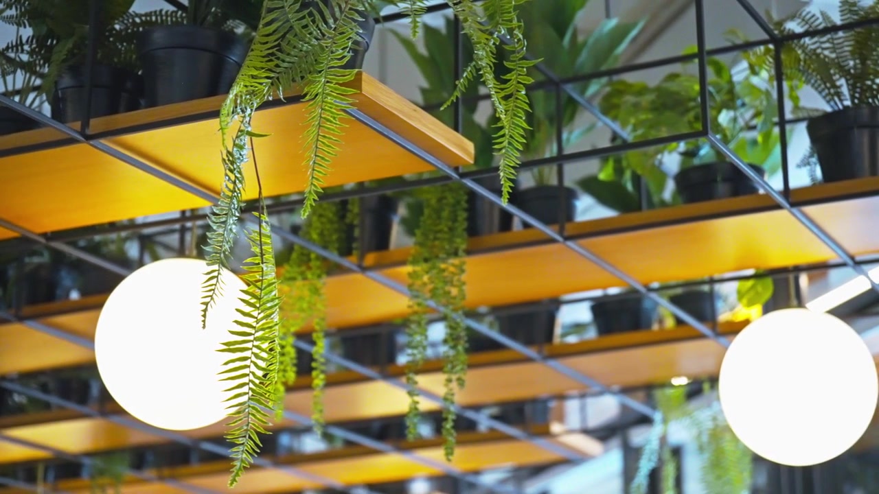 Una toma panorámica suave se desplaza a través de una moderna exhibición de plantas colgantes, con helechos en macetas y vegetación colgante dispuesta en una rejilla geométrica de estanterías de metal negro y madera