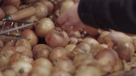 Picking-an-onion-from-a-pile-of-onions