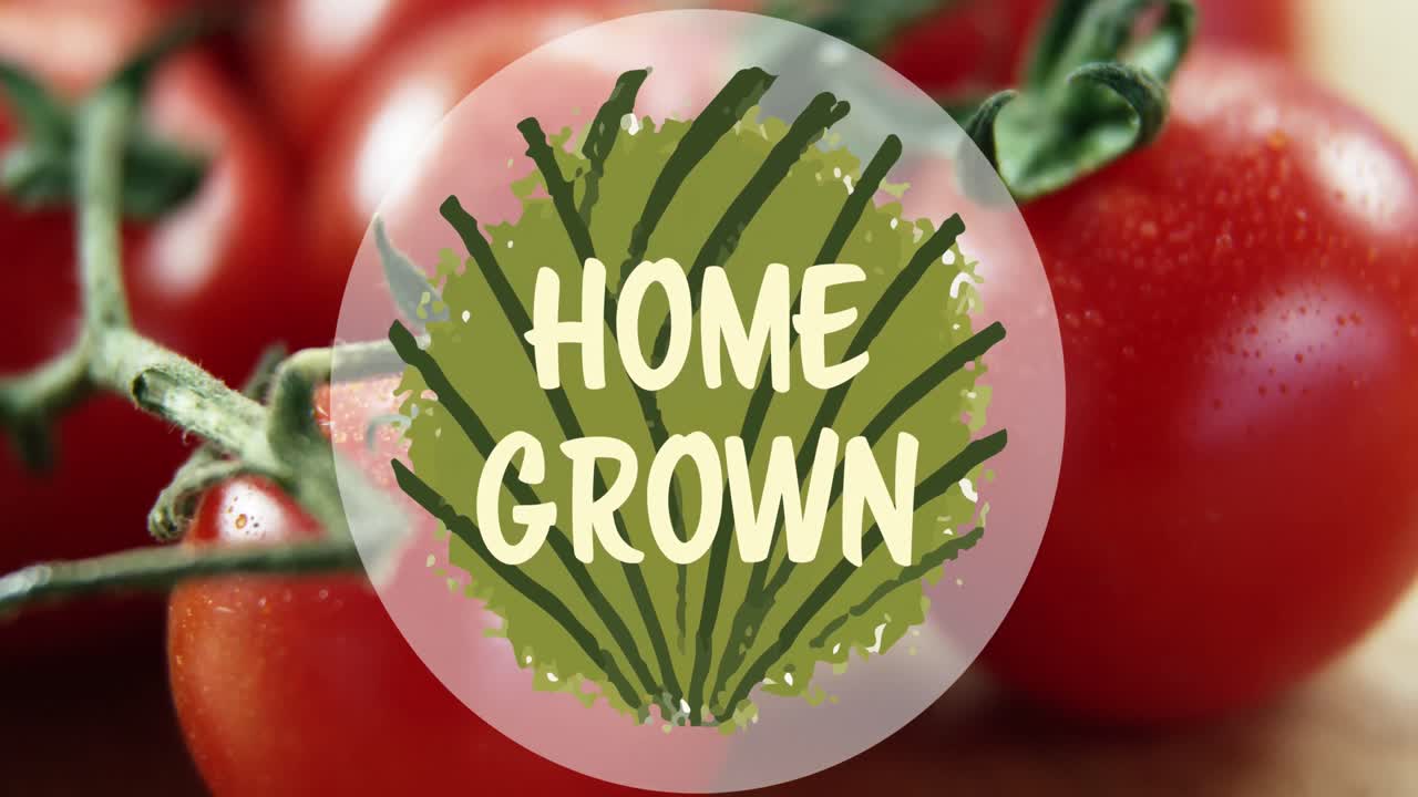 신선한 토마토 위에 채식주의 텍스트의 애니메이션