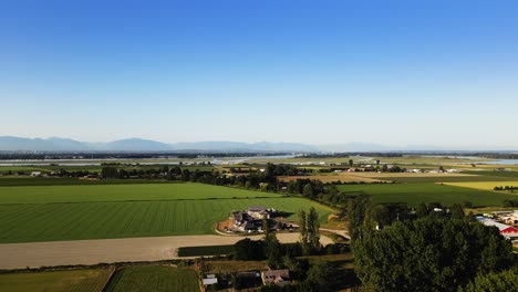 British-Columbia,-Kanada-Delta-Westham-Island-Natur-Bäume-Weingut-Bauernhof-Blauer-Himmel-Luftaufnahmen-Von-Drohnen