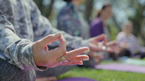 outdoor yoga group meditation