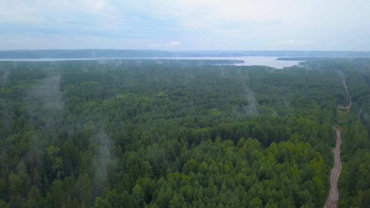 Misty Forest and River Valley Aerial View