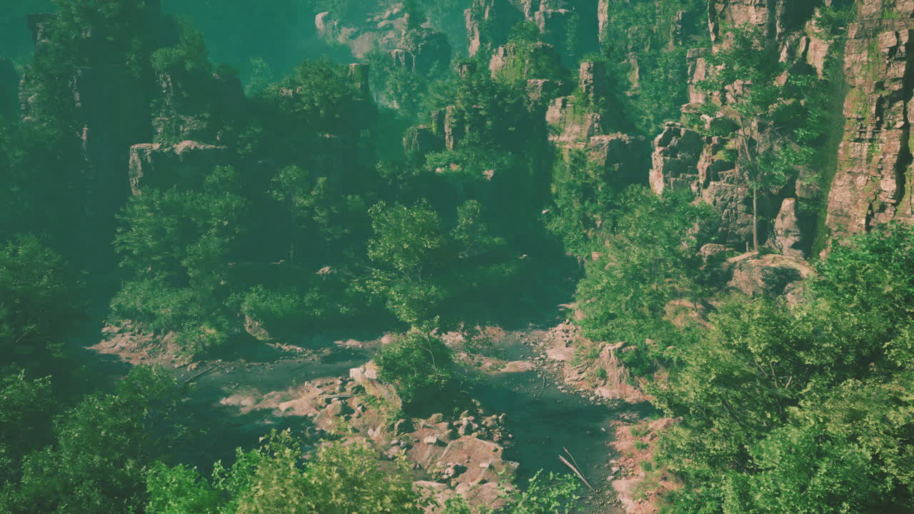 vista aérea de un río que fluye a través de un cañón de bosque exuberante