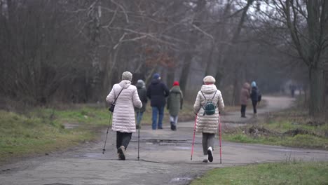 people walk gloomy park january