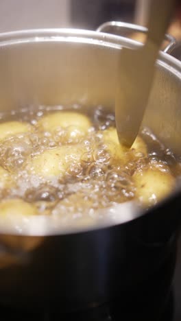 cooking potatoes and meat