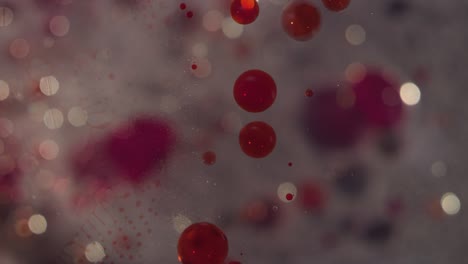 macros abstractas células rojas que se mueven con pequeñas burbujas de bokeh claras fondo de textura líquida