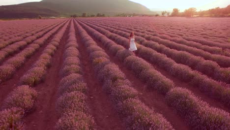 mujer caminando por un campo de lavanda al atardecer