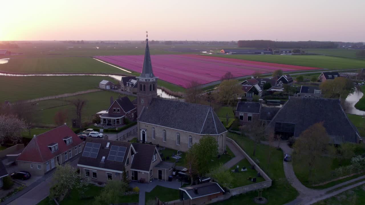 Campi di tulipani visti dall'alto e prati vivaci al tramonto, Schettens, Frisia