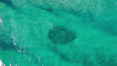 antena de bola de cebo o escuela de peces que se refugian en aguas turquesas claras y poco profundas del oeste de australia con olas rompiendo