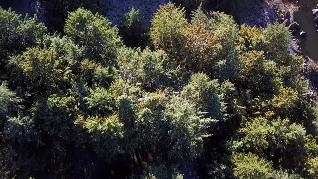 Soaring through the air