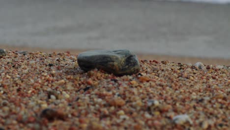 isolated stone in the beach