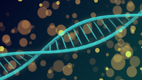 Animation-of-spots-and-shapes-over-dna-strand