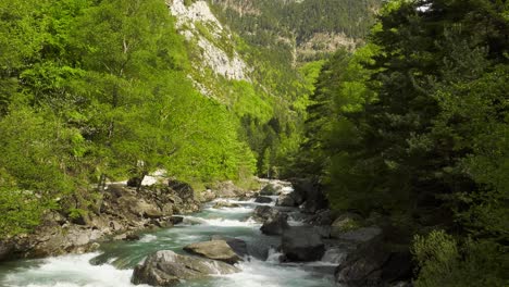 Schnell-Fließender-Waldfluss-Im-Grünen-Tal,-Pyrenäen