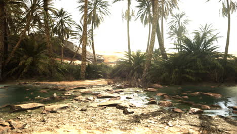 Panorama-of-Beautiful-Oasis-surrounded-by-sand-dunes