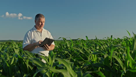 farmer using tablet in cornfield