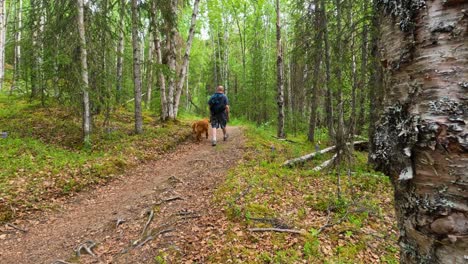 Mann-Und-Hund-Gehen-Auf-Einem-Pfad-Durch-Einen-Wald-Von-Der-Kamera-Weg