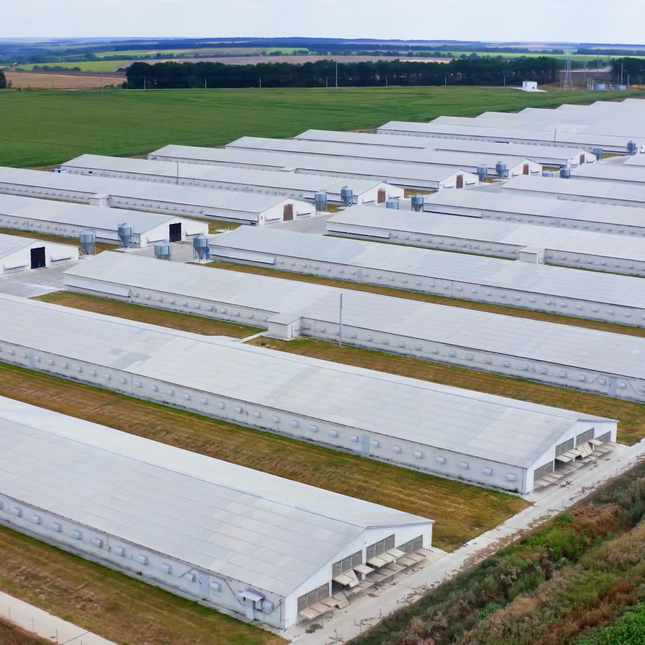 Prefabricated farm building in a green field. Many industrial buildings in rural area. View from above on white roofs of poltry farm