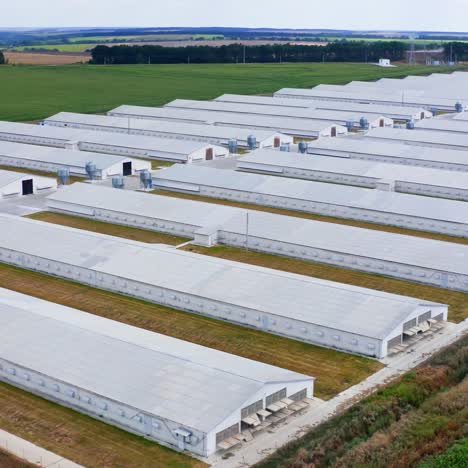 prefabricated farm building in a green field. many industrial buildings in rural area. view from above on white roofs of poltry farm