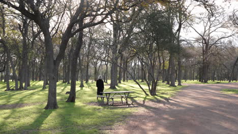 Mujer-En-El-Parque-Con-árboles-En-La-Fría-Y-Soleada-Mañana-De-Invierno-Lanzando-Un-Juego-De-Pelota-Para-Su-Perro-Golden-Retriever