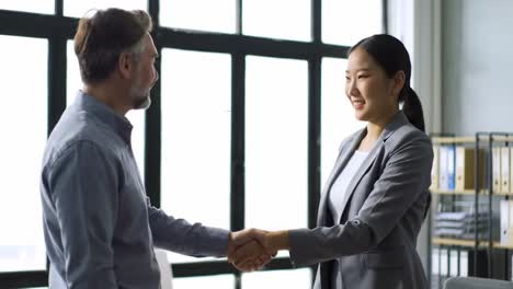 business professionals engaging in a handshake, symbolizing agreement and collaboration, showcasing a moment of mutual respect and partnership in a modern office environment