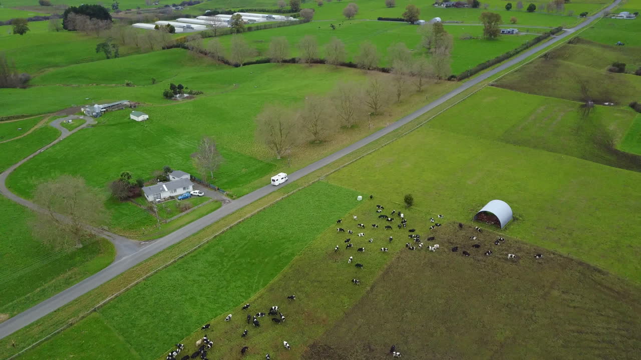 뉴질랜드의 녹색 목장이 있는 시골길을 운전하는 rv의 공중 드론 샷