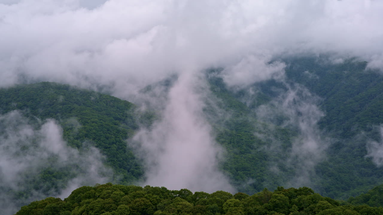 Cinematic flight above the fog-veiled Appalachian highlands