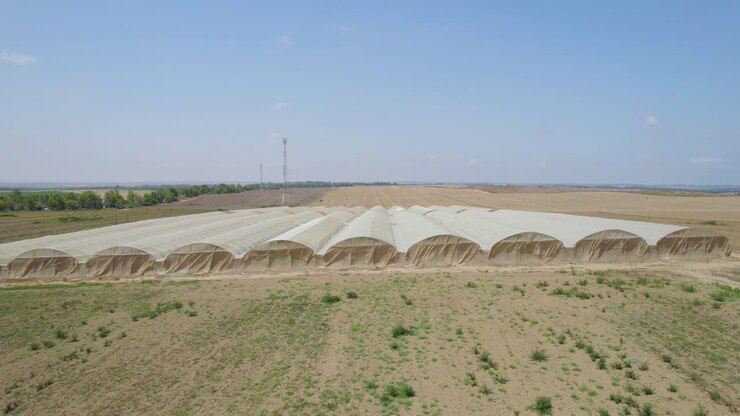 Greenhouses At Alumim Kibbutz at Sdot Negev, Israel