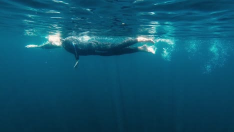 professional-freestyle-swimmer-in-swimming-suit-in-open-blue-ocean