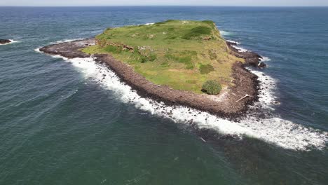 aerial shot of cook island in nsw, australia