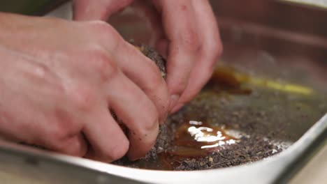 preparando un plato de pollo sazonado