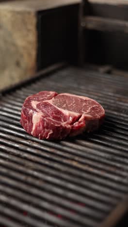 grilled rib-eye steak