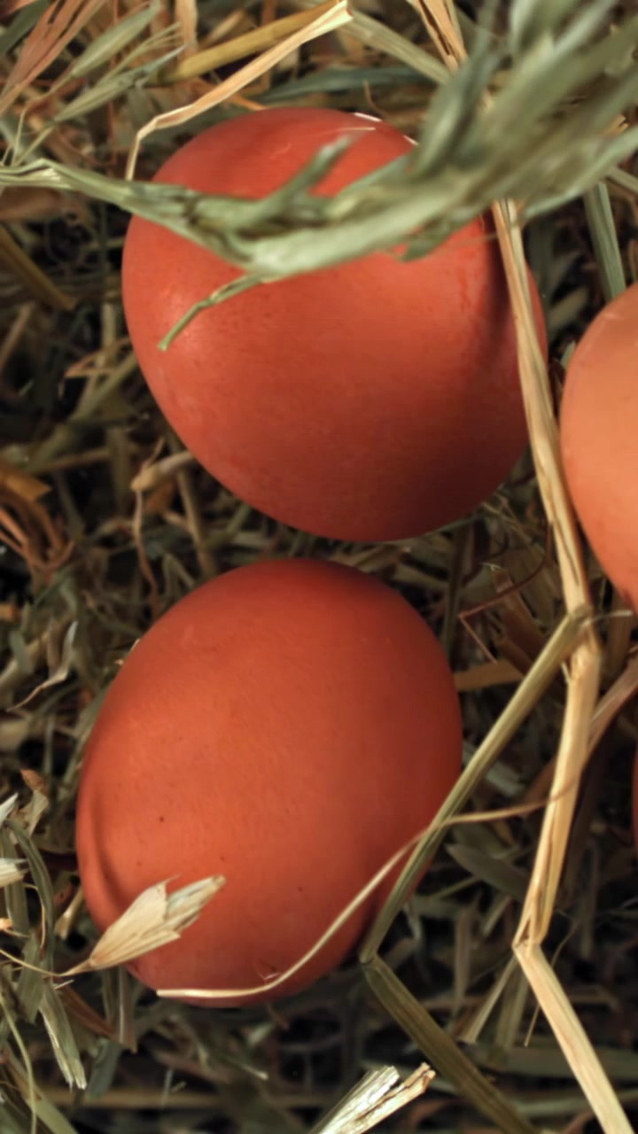 Close-up Telur Cokelat Organik dalam Sarang Jerami Rustik