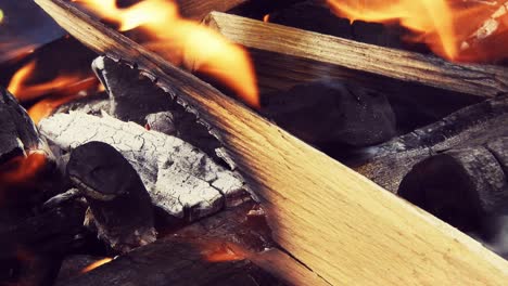 burning wood logs for a barbecue