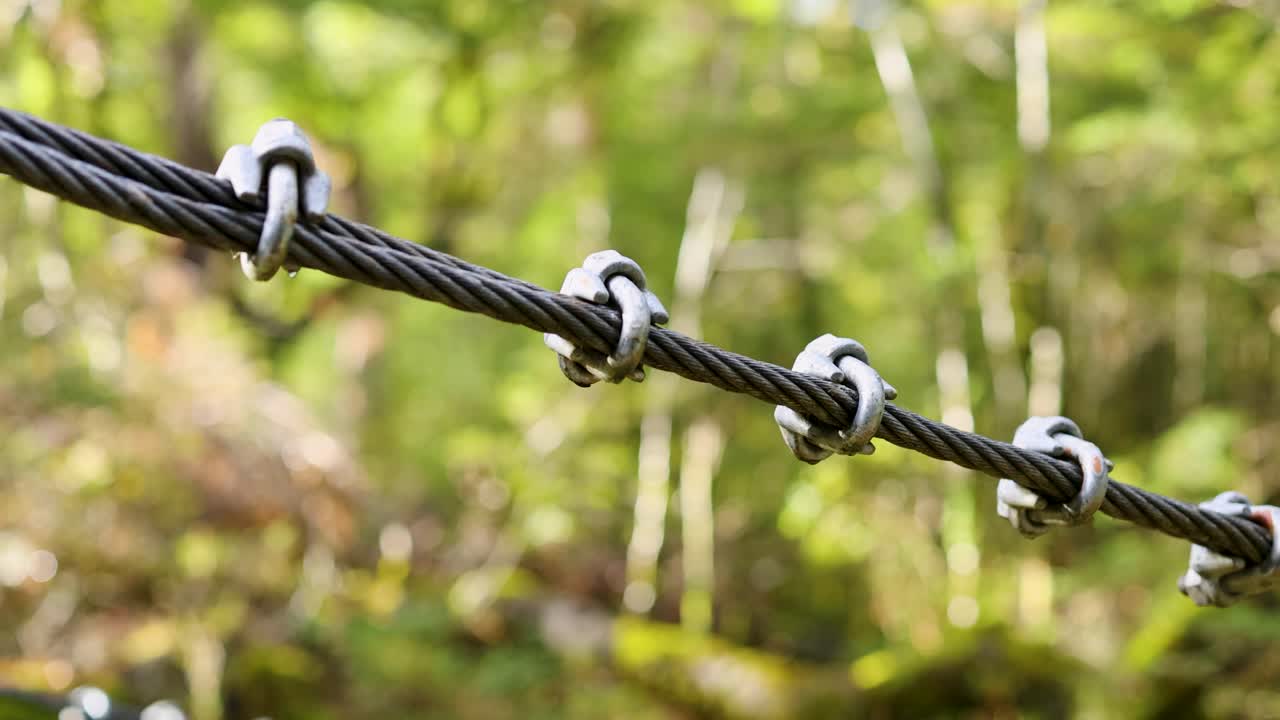 Steady close-up of metal suspension bridge cable with green temperate rainforest background, natural daylight