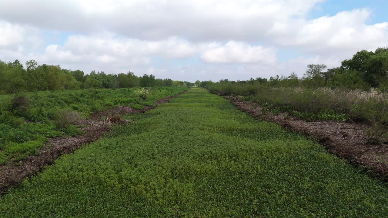 Aerial view of a wetland area, showcasing abundant green vegetation, a tranquil waterway, and the natural beauty of the region under a cloudy sky