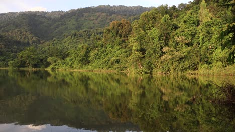 un lago pintoresco con un hermoso fondo verde de bosque que se refleja en el lago