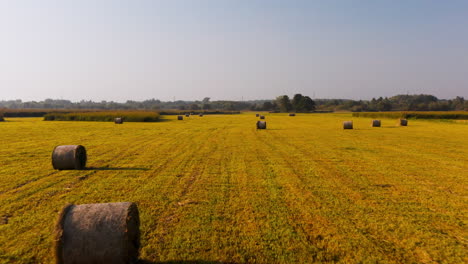 campo amarillo con heno y balas de heno después de la cosecha durante el tiempo soleado