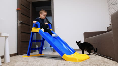 little caucasian child going up the stairs of a slide. kid slides down to the cat standing nearby. active fun time at home.