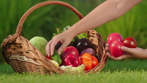 basket of fresh vegetables