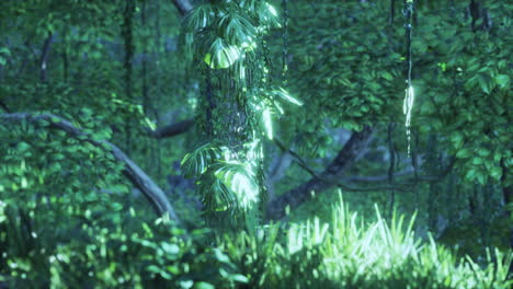 morning light in beautiful jungle garden