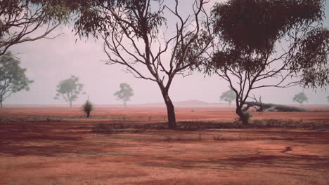 australian outback