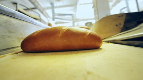 loaf of bread on conveyor belt. manufacturing process at food factory