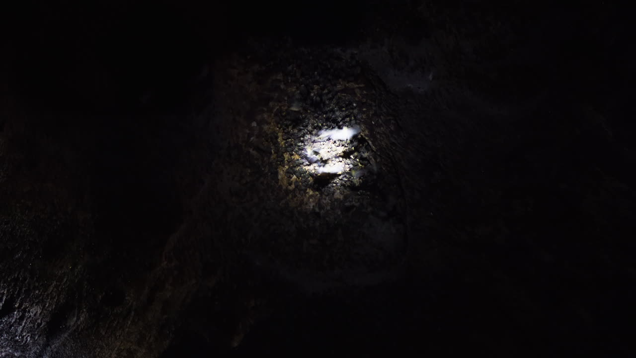 어 ⁇  속에서 손전등으로 조명된 동굴의 지붕에서 날아다니는 박 ⁇